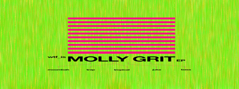 WTF IS MOLLY GRIT EP – A Mad Decent Experiment (Free Download)